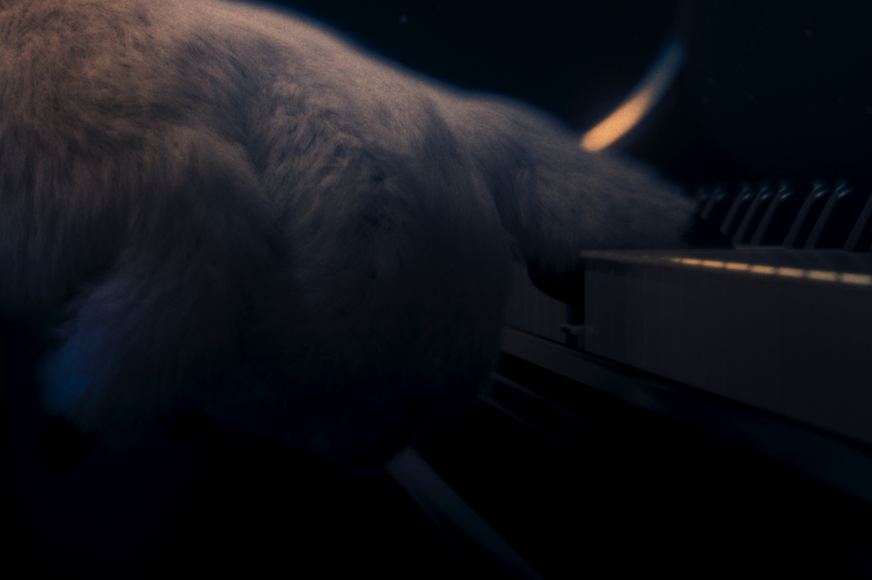 De Grote Beer 2021, Still 02