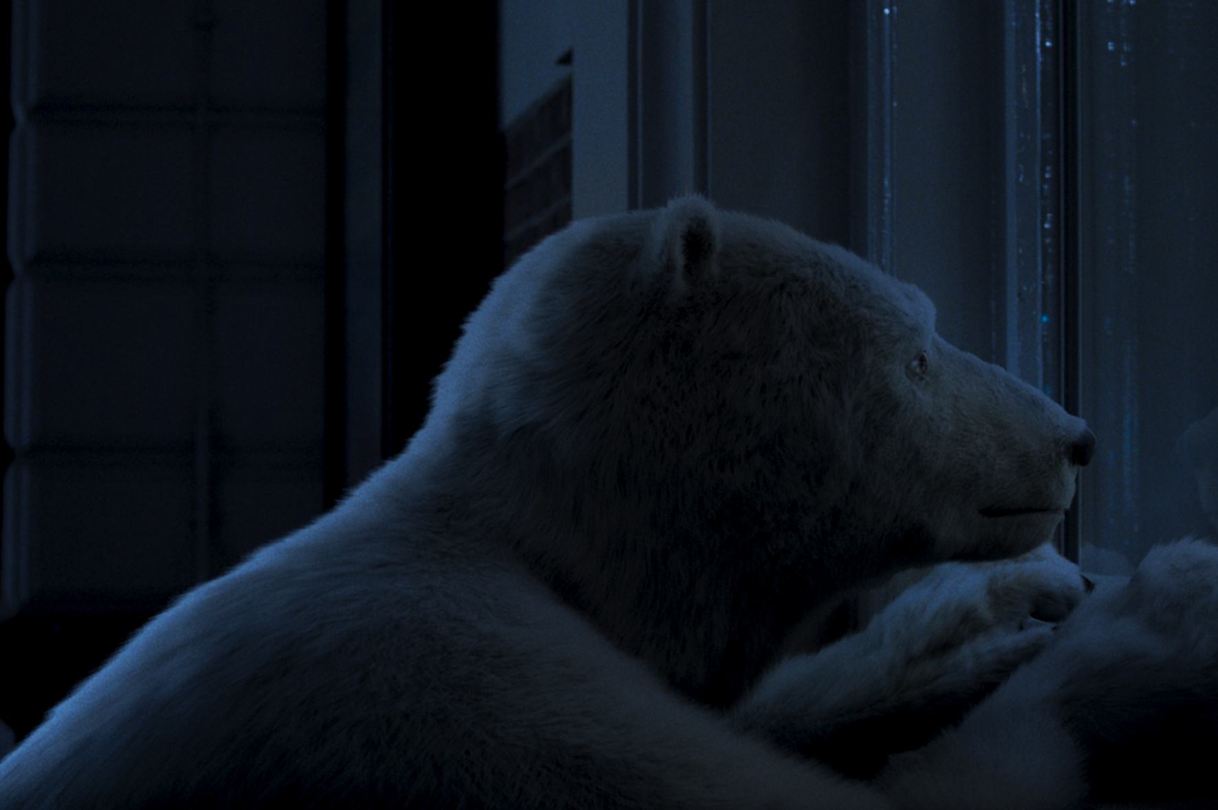 De Grote Beer 2021, Still 03