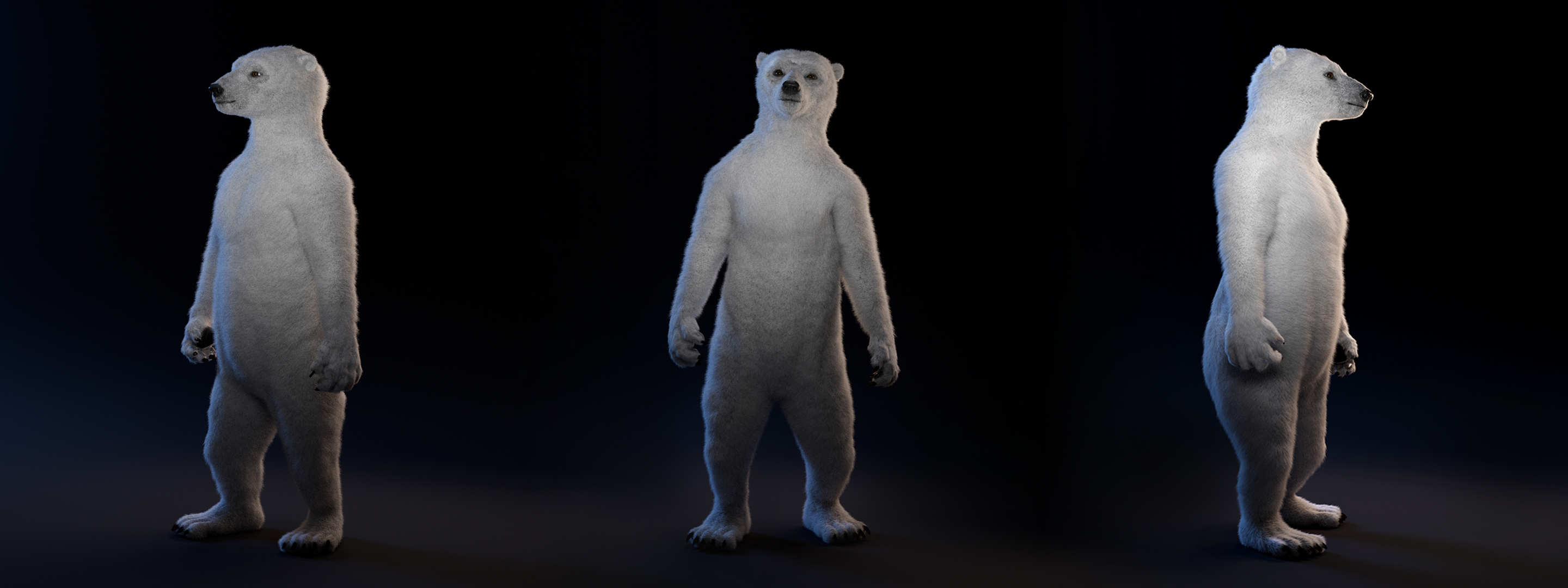 De Grote Beer Turntable Polar Bear Stijn Sanders